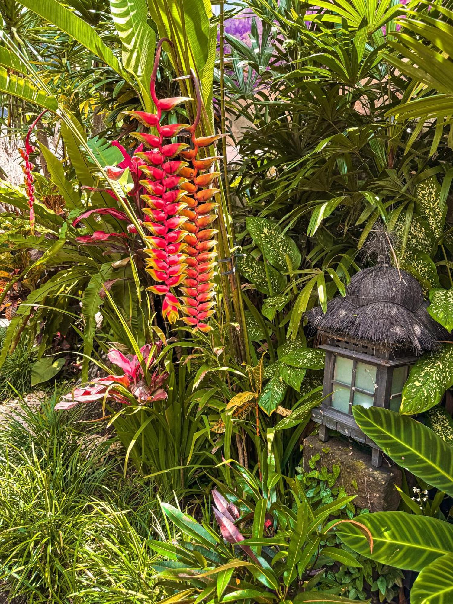 Bali Maison Ubud Eksteriør bilde